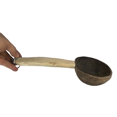 Image result for Bowl Java Paggi