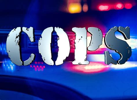 cops 的图像结果