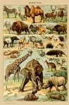 Image result for Spring Model Math