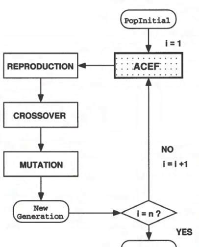 Image result for Evolution Algorithm Python
