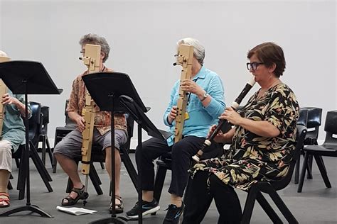 Image result for Adult Beginner Recorder Tutorials Point