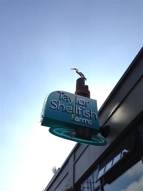 Image result for iPhone 5 Camera Tutorial