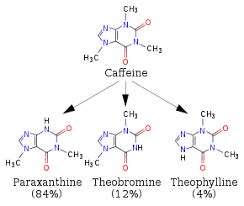 Fig. 3: Metabolites of caffeine