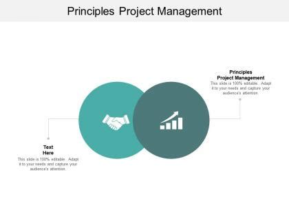 Image result for Principles of Development Project Development Direction Imagesfor Slides