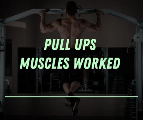 Pull Ups Muscles Worked (What Science Says) | Dr Workout