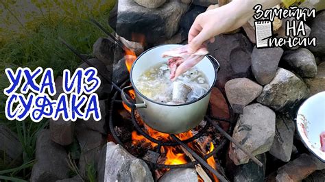 Приготовление ухи из судака на костре #деревня #уха - YouTube
