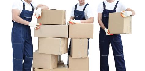 Wholesale 的图像结果