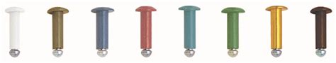 Colour Head Rivets