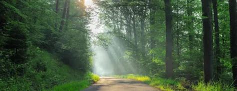 Decarbonization as a public service