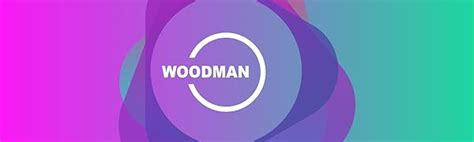 Woodman WM-2020 Double Din Car Stereo (Black) : Amazon.in: Electronics