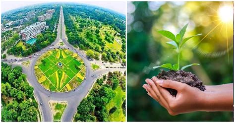 World Environment Day : भारत के 5 सबसे हरे-भरे शहर, देखने लायक है यहां ...