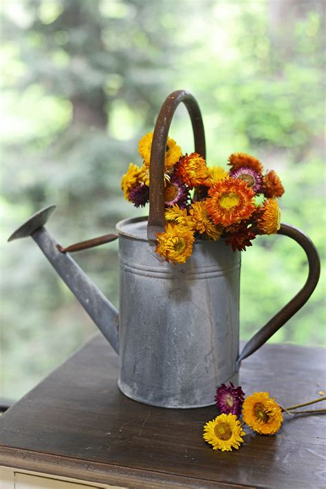 Can Zinc Rust In Water at Noah Weber blog