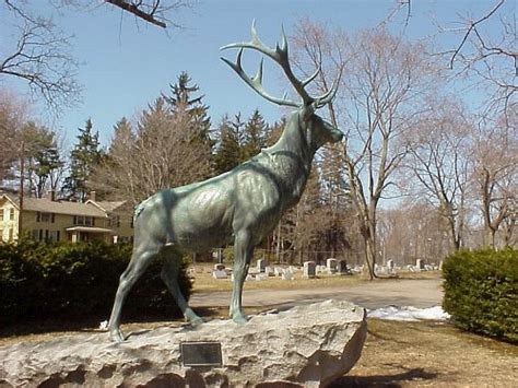 Woodlawn Cemetery, Elmira NY Obituaries