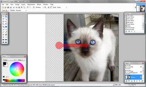 Image result for Paint.net Tutorials