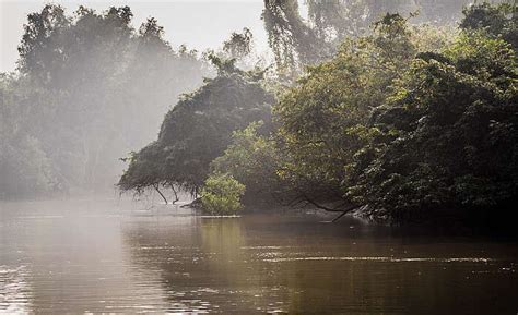 10 Beaches In Odisha That Are Perfect For Your Beach Holiday