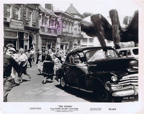 The Spider (Earth vs The spider) 5 1958 8x10 stills