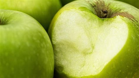 How hard can you bite? | Research Matters