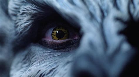 Image result for Werewolf Teeth Makeup Tutorial