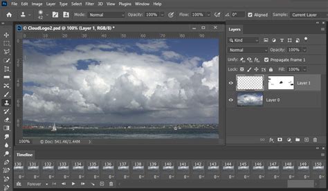 Image result for Adobe Frame Tool