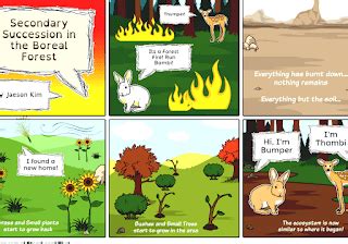 Image result for Secondary Succession Fire Example