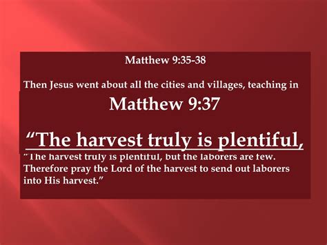 PPT - Seeing the Harvest Through His Eyes PowerPoint Presentation, free ...
