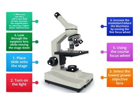 Basic Microscope Use 的图像结果
