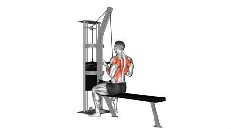 Image result for Cable Bent Over Row