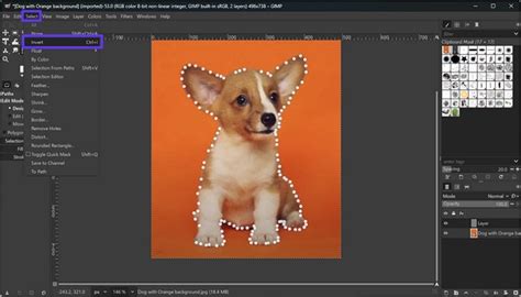 Remove Background in GIMP: 5 Methods for Perfect Cutouts