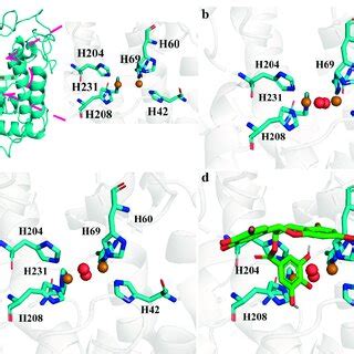 Image result for Perfect Complex Structure