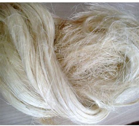 Sisal Fibre Manufacturers and Suppliers from Tirunelveli