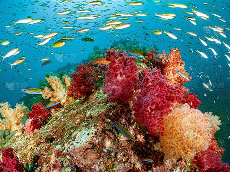 海洋 的图像结果