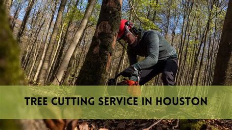 Image result for Houston TX Tree Service