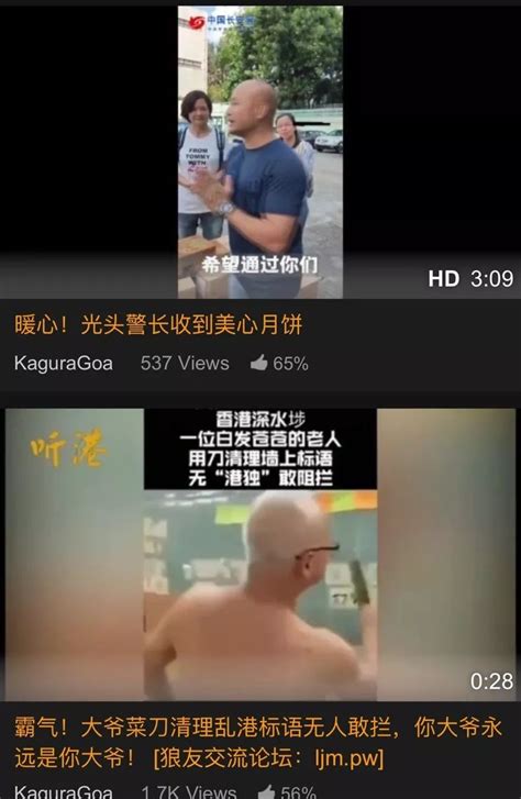 只有在成人网站，一个美国人才能看到香港暴乱的真相…… _凤凰网
