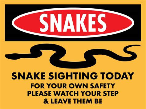 Snakes Sighting Today Sign – New Signs