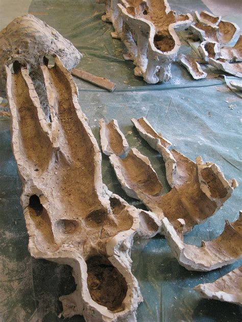 Working Process 的图像结果