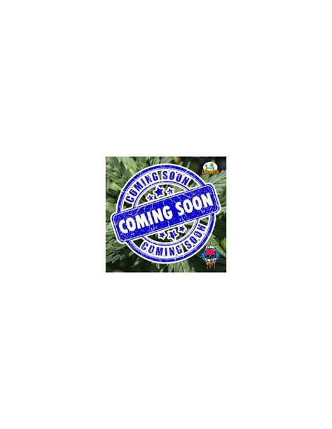 Sour Flip Mode (Dank Genetics) Feminized Seeds | On Sale!