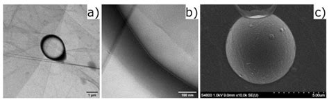 Micromachines | Special Issue : Microfluidics for Label-Free Particle ...