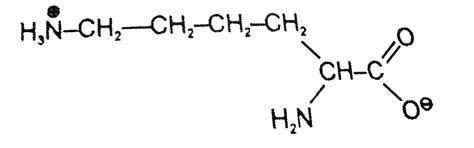 The total number of basic groups in the following form of lysine is