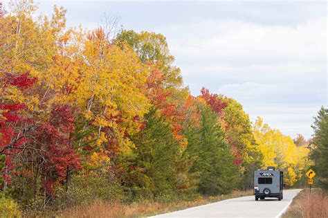 Image result for MLive Record