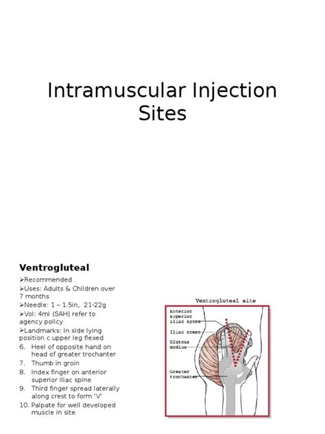 Intramuscular Injection Sites | PDF