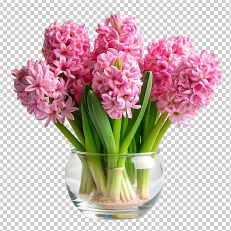 Pink flowers in white vase on transparent background | Premium AI ...