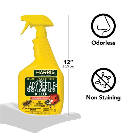 Snapklik.com : Harris Asian Lady Beetle And Box Elder Killer, Liquid Spray