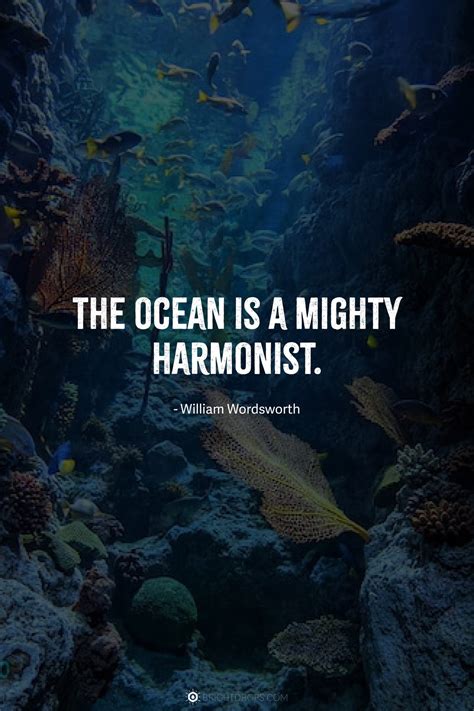 97 Beautiful Ocean Quotes on Waves, Water & the Sea - Bright Drops