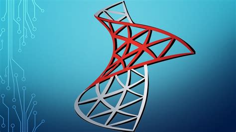 What Does SQL Server Look Like 的图像结果