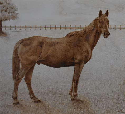 Image result for Pyrography Animals