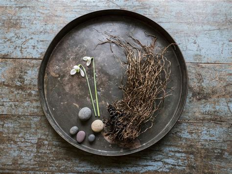 Systemic Constellation Workshop in Bristol on Friday 6th December 2024 ...