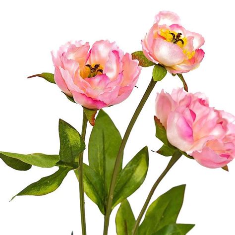 Buy Peony Pink Flowers 26 Inches online in India – Home4u