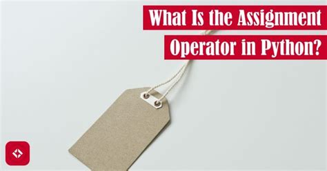 Image result for Assignment Operator Example Python