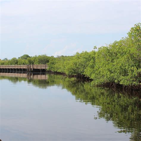 Upper Tampa Bay Park: All You Need to Know BEFORE You Go