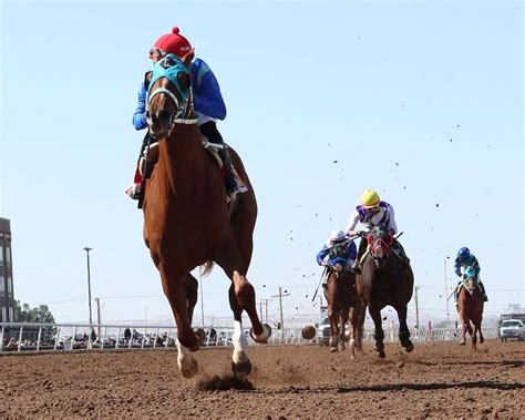 Reddam Racing's Pavlovian Gets the Nod in the Sunland Derby